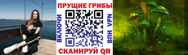 Купить где  Спасск-Рязанский  Галлюциногенные грибы Psilocybe 